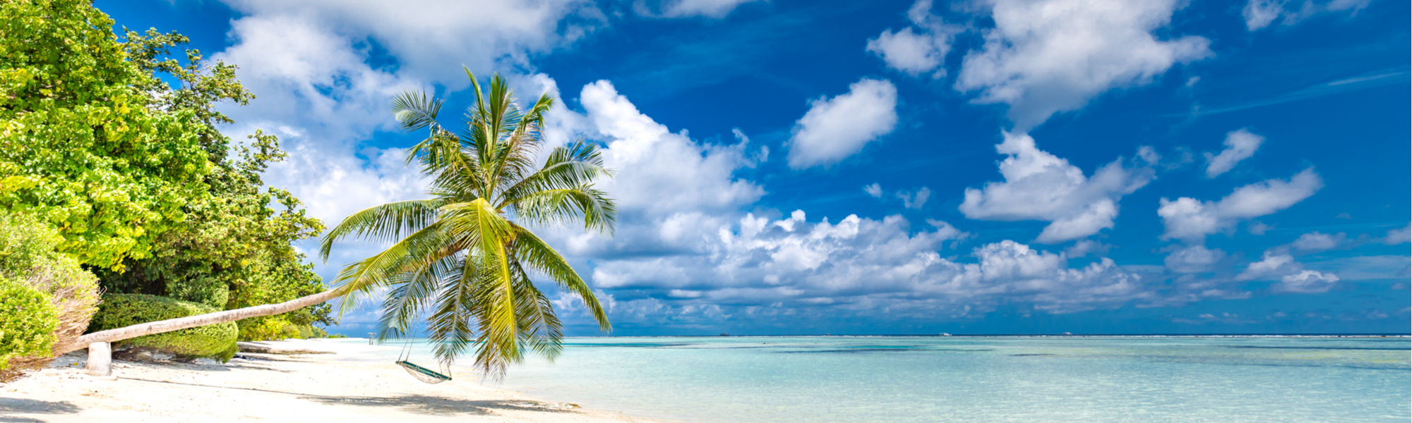 Fiji Tropical Beach